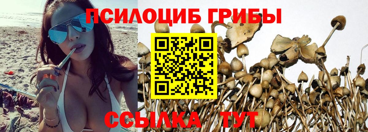 Псилоцибиновые грибы прущие грибы Красный Сулин