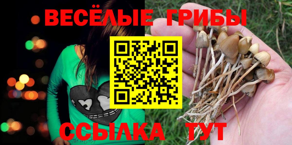 Красный Сулин  Галлюциногенные грибы ЛСД  Галлюциногенные грибы MAGIC MUSHROOMS  Вход с VPN 